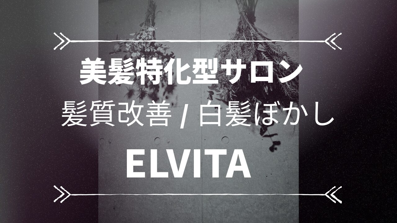 美髪特化型サロンELVITA